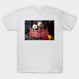 Two Dalmatian Puppies In Pink Basket T-Shirt